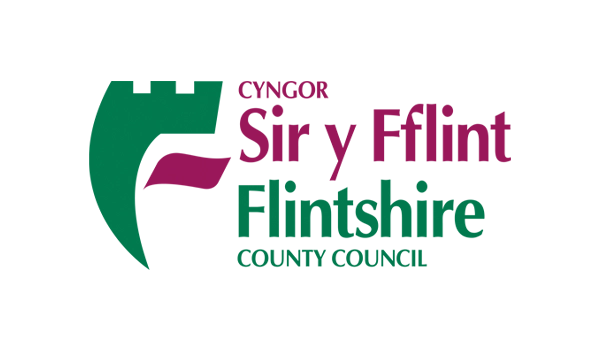 flintshire-county-council.webp